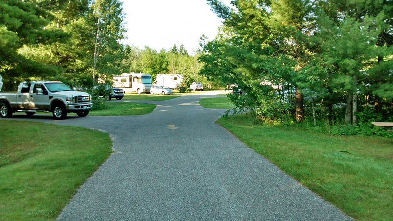 the road in hartwick pines campground